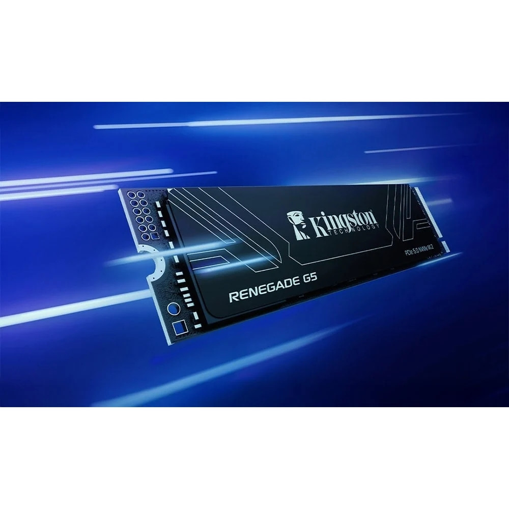 Kingston Renegade SRNG2S/1TB G5 1TB  14200/11000MB/s PCIe 5.0 NVMe SSD Disk